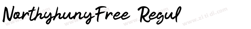 NorthyhunyFree Regul字体转换